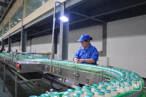 陸良這家投資2.8億的廠,已經進入試生產階段