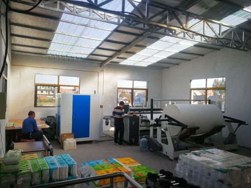 想在農(nóng)村老家辦個小型衛(wèi)生紙加工廠,需要投資多少錢呢