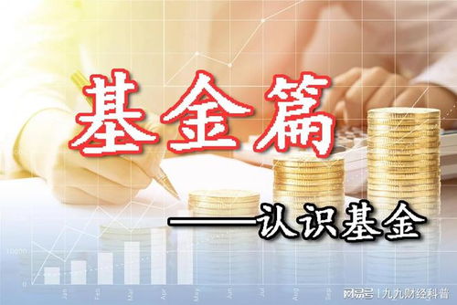 最全基金知識梳理,別再無腦買基金了